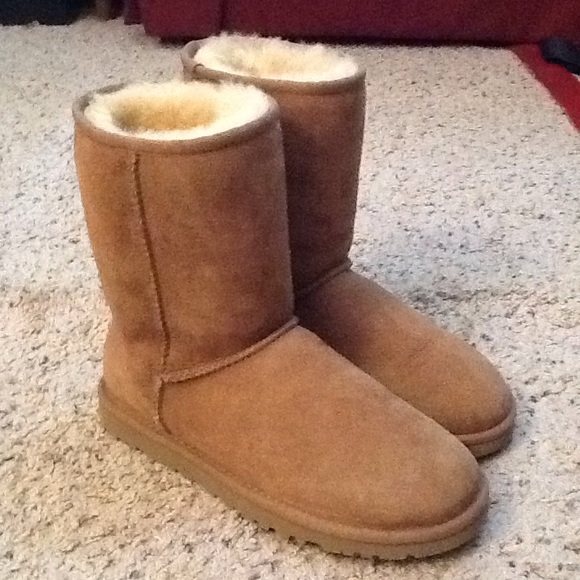 UGG Shoes - UGG CHESTNUT LEATHER BOOTS BOOTIES sz 5, NWOT